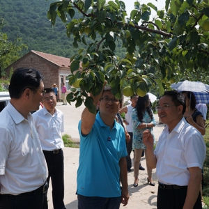 ��ﱱ����ί�Ӵ��ຣ�������������