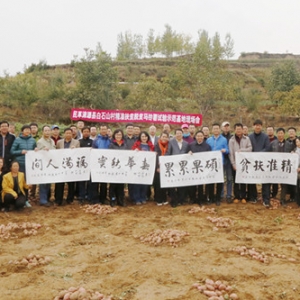 СС��Ƥ�����ð�ʯɽ��ƶ������ƶ�¸�