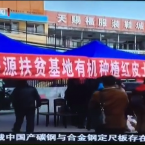 СС���������˼��