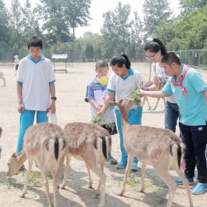 �����˼� ��ϵ��ͯ������̨���ʹ�������ﵳԱ־Ը�����ж�