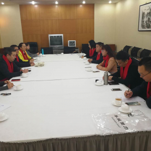 ����������ί��ׯ֧���ٿ�2017��֧���ܽ���