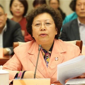 ��ﱱ����ί��ί���죺�μ�ʹ�� ����δ��