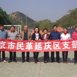 �������֧����չ��׼��ƶ������������ƶ����ͯ����ѧϰ��Ʒ