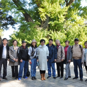 �����ί��֯�����ϸɲ������Ǹ��;�