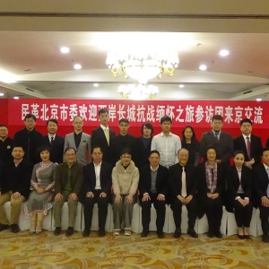 �������ǿ�ս�廳֮�òη�����������