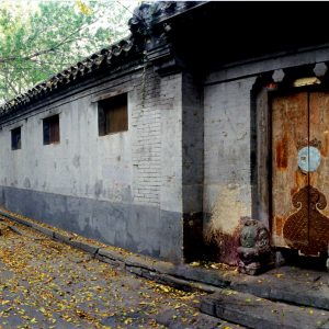 ������Ʒ�����ʶ���ɫ