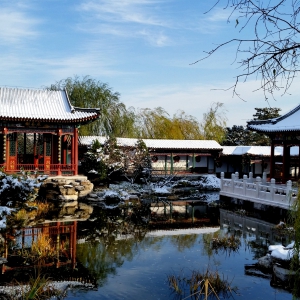 ��������Ʒ����ѩ�䱱��԰