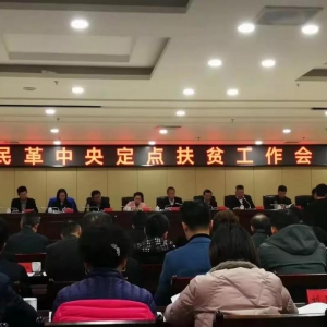 ��ﱱ����ί��ί������Ӳμ�������붨���ƶ�����Ტ�ڵ��ؿ�չ�������