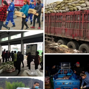 ��������������һ�𡪡�����ﶫ����ί��ʮ��֧����Ա��������ɽ���Ļ������ܾ�����͡