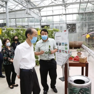 ������ʶ��ھ����� �۽�����Ʒ���ǻ�ũҵ��